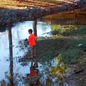 Meet your Posher, Wanda